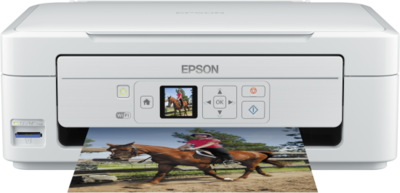 Cartuchos Epson Expression Home XP-315